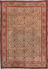 Antique Agra Area Rug (9' x 14')